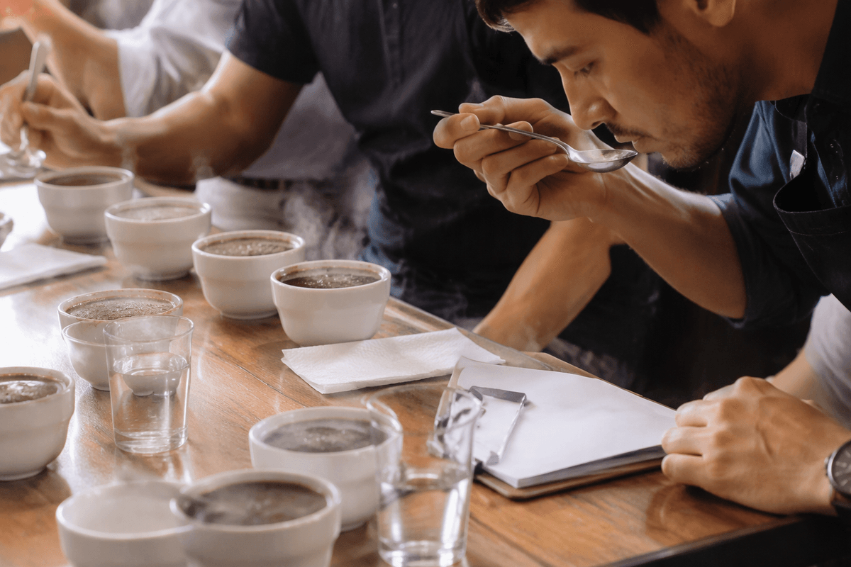 D3 Coffee coop—MD: farm; O: cupping; S: shopping
